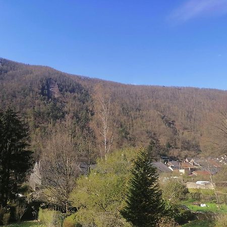 Chez Many, Par Fred Et Henri Bed & Breakfast Montherme Bagian luar foto