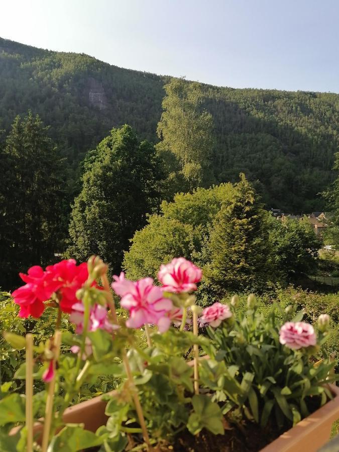 Chez Many, Par Fred Et Henri Bed & Breakfast Montherme Bagian luar foto