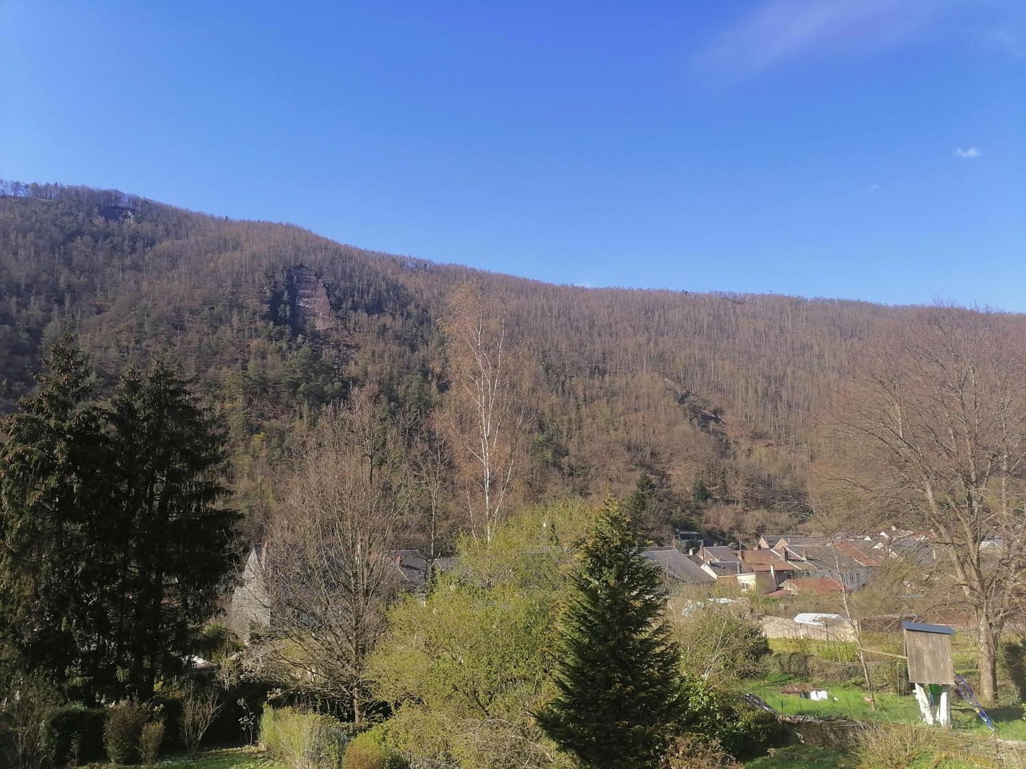 Chez Many, Par Fred Et Henri Bed & Breakfast Montherme Bagian luar foto